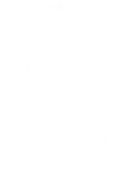 ASSOLUTOLOGO ASSOLUTO